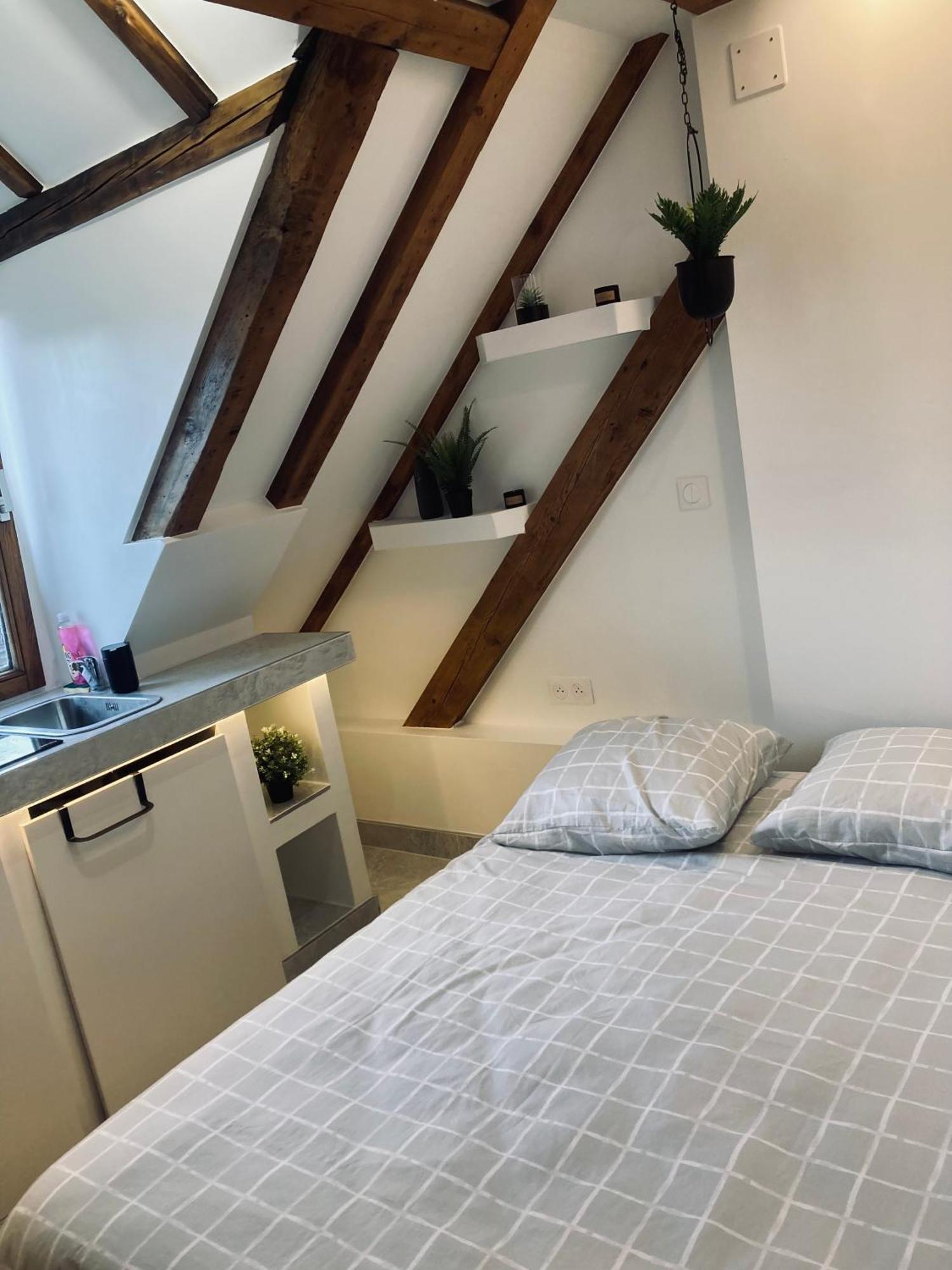 Appartement Petit Nid Sympa A Strasbourg Extérieur photo